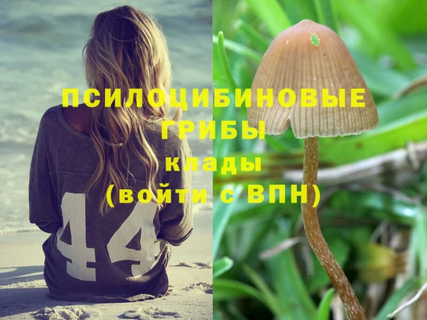 экстази Баксан