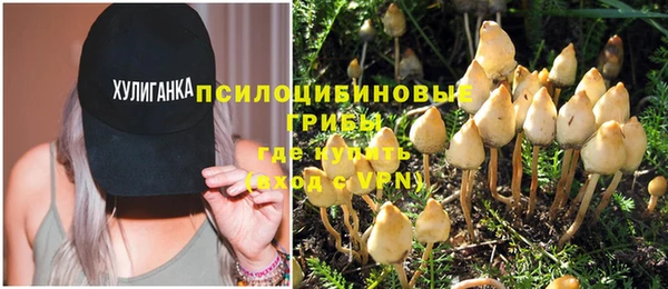 дурь Балахна