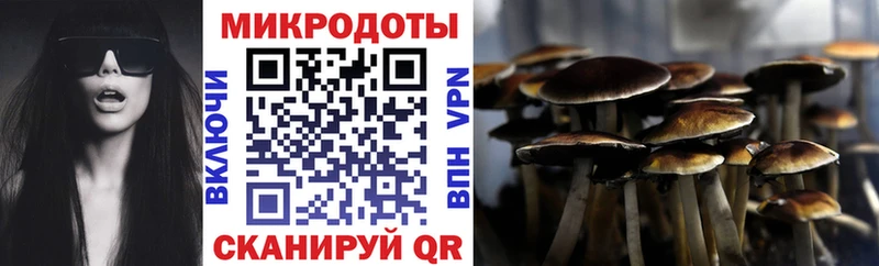 Галлюциногенные грибы мухоморы Кушва