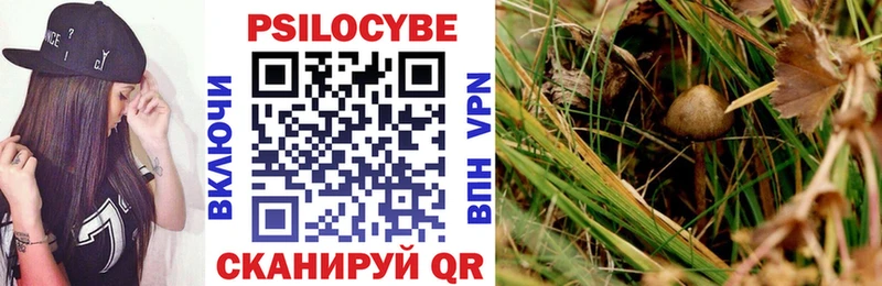 Галлюциногенные грибы ЛСД  Кушва 